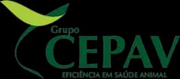 Grupo Cepav